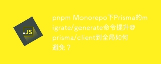 Wie kann man es vermeiden, @prisma/client in die globale Welt durch Prisma unter PNPM Monorepo zu fördern?
