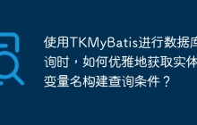使用TKMyBatis进行数据库查询时，如何优雅地获取实体类变量名构建查询条件？