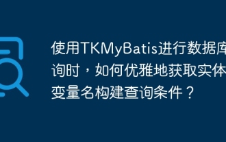データベースクエリにTKMYBATISを使用するときに、エンティティクラスの変数名の構築クエリ条件をエレガントに取得する方法は?