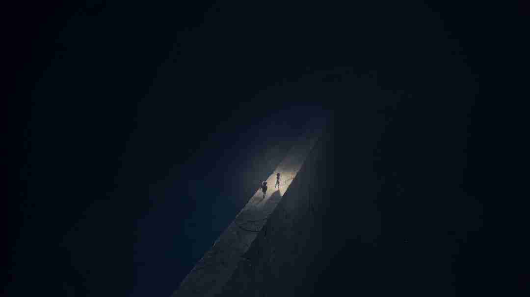 《小小梦魇》团队新作《再生动物》新预告公布 现已上线Steam平台