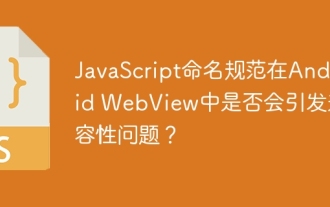 Does JavaScript naming specification raise compatibility issues in Android WebView?