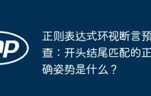 正则表达式环视断言预查：开头结尾匹配的正确姿势是什么？