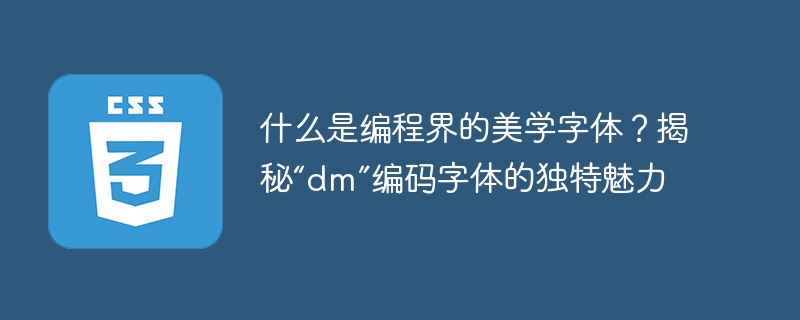 什么是编程界的美学字体？揭秘“dm”编码字体的独特魅力-小浪学习网