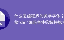 什么是编程界的美学字体？揭秘“dm”编码字体的独特魅力