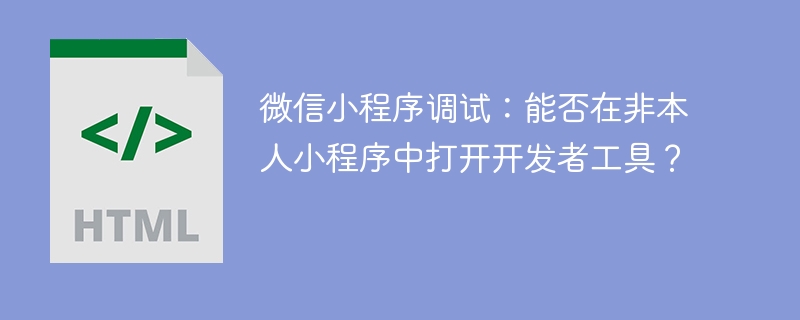 微信小程序调试:能否在非本人小程序中打开开发者工具? 微信小程序调试:能否在非本人小程序中打开开发者工具?