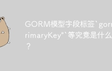GORM模型字段标签`gorm:"primaryKey"`等究竟是什么？