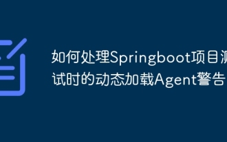 Bagaimana untuk menangani amaran ejen pemuatan dinamik semasa ujian projek springboot?