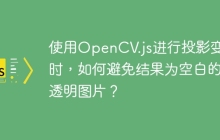 使用OpenCV.js进行投影变换时，如何避免结果为空白的透明图片？