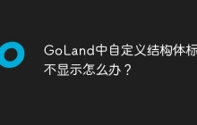 GoLand中自定义结构体标签不显示怎么办？
