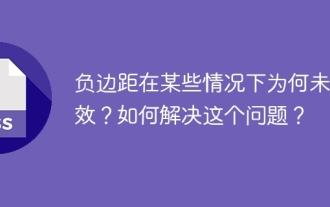 부정적인 마진이 어떤 경우에는 적용되지 않는 이유는 무엇입니까? 이 문제를 해결하는 방법?