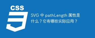 SVG의 PathLength 속성은 무엇입니까? 실제 응용 프로그램은 무엇입니까?
