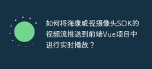 How to push the video stream of Hikvision camera SDK to the front-end Vue project for real-time playback?