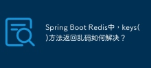 In Spring Boot Redis, how to solve the problem of returning garbled codes?