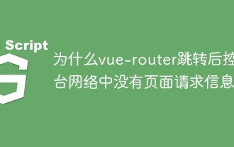 Why is there no page request information on the console network after vue-router jump?