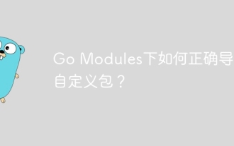 Comment importer correctement les packages personnalisés sous les modules GO?
