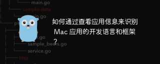 如何通过查看应用信息来识别 Mac 应用的开发语言和框架？