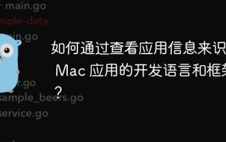 How to identify the development language and framework of Mac applications by viewing application information?