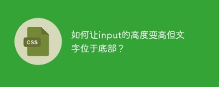 如何让input的高度变高但文字位于底部？