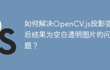 如何解决OpenCV.js投影变换后结果为空白透明图片的问题？
