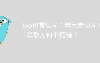 Go language slice: Why does it not report an error when single-element slice index 1 intercept?