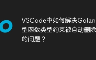 Wie kann ich das Problem der Einschränkungen des generischen Funktionstyps der Golang -Funktionstypen lösen, die automatisch in VSCODE gelöscht werden?