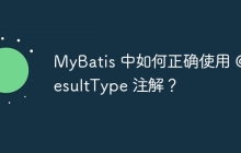 MyBatis 中如何正确使用 @ResultType 注解？