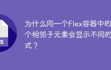为什么同一个Flex容器中的两个相邻子元素会显示不同的样式？