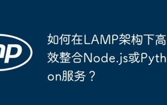 Wie kann man Node.js oder Python -Dienste in Lampenarchitektur effizient integrieren?