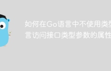如何在Go语言中不使用类型断言访问接口类型参数的属性？
