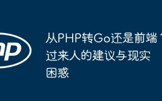 PHPからGOまたはフロントエンドへ?経験豊富な人々からの現実の提案と混乱