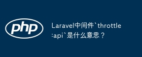 Laravel中间件`throttle:api`是什么意思？