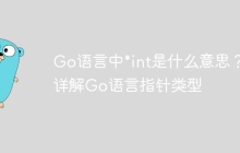 Go语言中*int是什么意思？详解Go语言指针类型