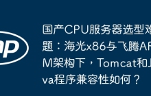 国产CPU服务器选型难题：海光x86与飞腾ARM架构下，Tomcat和Java程序兼容性如何？