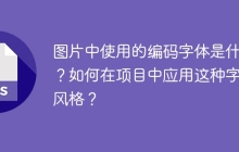 图片中使用的编码字体是什么？如何在项目中应用这种字体风格？