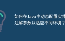 如何在Java中动态配置实体类注解参数以适应不同环境？