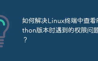 Wie löste ich das Problem der Berechtigungen beim Betrachten der Python -Version in Linux Terminal?