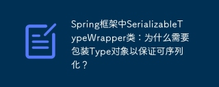 Spring框架中SerializableTypeWrapper类：为什么需要包装Type对象以保证可序列化？