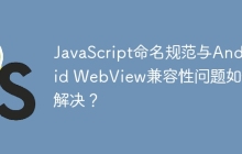 JavaScript命名规范与Android WebView兼容性问题如何解决？