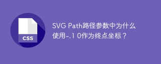 Warum wird -.1 0 als Endpunktkoordinate im Parameter SVG -Pfadpfad verwendet?