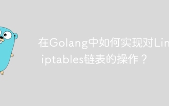 How to implement operations on Linux iptables linked lists in Golang?