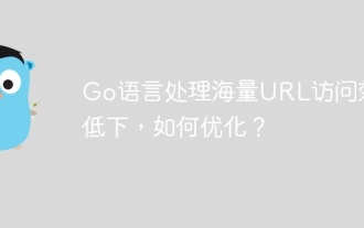 Go language is inefficient in processing massive URL access, how to optimize it?