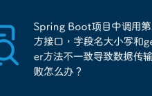 Spring Boot项目中调用第三方接口，字段名大小写和getter方法不一致导致数据传输失败怎么办？