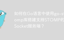 如何在Go语言中使用go-stomp库搭建支持STOMP的WebSocket服务端？