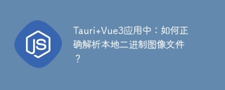 Tauri Vue3アプリケーション:ローカルバイナリイメージファイルを正しく解析する方法は?