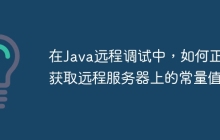 在Java远程调试中，如何正确获取远程服务器上的常量值？