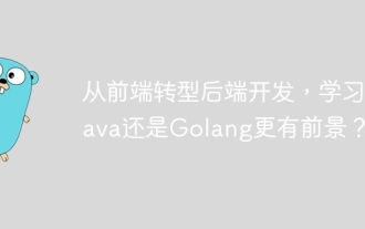 從前端轉型後端開發,學習Java還是Golang更有前景?