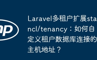 Laravel 멀티 테넌트 확장 STANCL/TENANCY : 테넌트 데이터베이스 연결의 호스트 주소를 사용자 정의하는 방법은 무엇입니까?