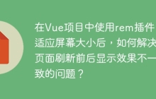 在Vue项目中使用rem插件自适应屏幕大小后，如何解决页面刷新前后显示效果不一致的问题？