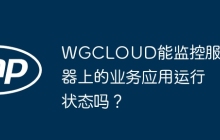 WGCLOUD能监控服务器上的业务应用运行状态吗？