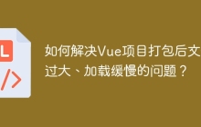 如何解决Vue项目打包后文件过大、加载缓慢的问题？